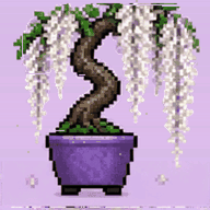 Bonsai 1888